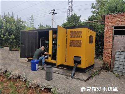 靜音箱發(fā)電機(jī)組 保養(yǎng)