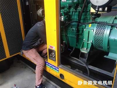 萍鄉(xiāng)柴油發(fā)電機(jī)組 維修